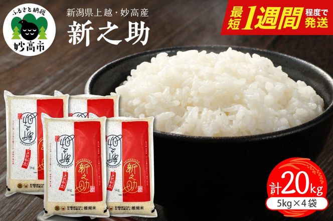 【最短1週間程度発送】令和8年産  新潟県上越妙高産 新之助 20kg