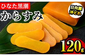 ひなた黒潮 からすみ 夫婦腹 ブロック(120g) 片腹 両腹 ボラ 魚卵 珍味 おつまみ 日向灘 国産 宮崎県 門川町 【B-22】【合同会社 SA・Te黒潮】