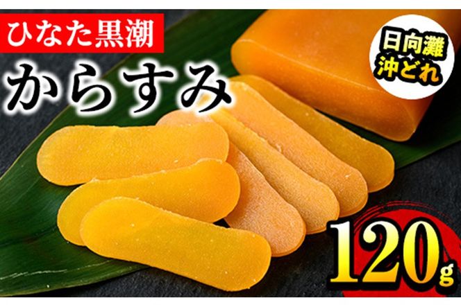y{茧쒬zЂȂ 炷 vw ubN(120g) Е  {   ܂  Y {茧 쒬 yB-22zy SAETez