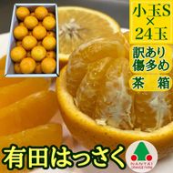 訳あり 傷多め 手詰め 有田 はっさく 小玉 S サイズ × 24玉入 南泰園 みかん BS718