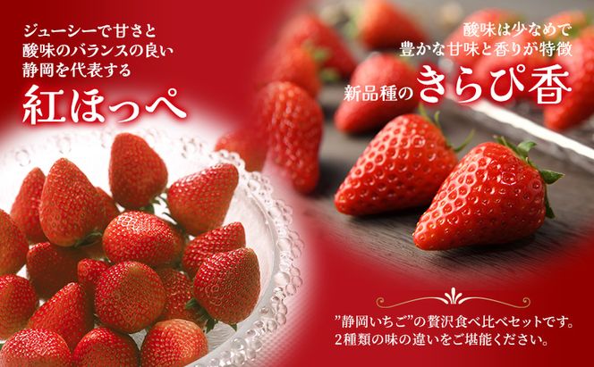 JA遠州中央 いちご食べ比べ きらぴ香 紅ほっぺ いちご 各1パック 260g×2 遠中 静岡県 静岡 袋井市 袋井 イチゴ 苺 贈答 フルーツ 果物 くだもの 人気