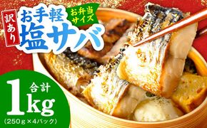 099H4470 【お弁当サイズ】塩さば 1kg（250g×4P）【生活応援 サバ 小分け 青魚 塩鯖 塩サバ 切身 塩焼き 焼きさば 焼き鯖 人気 冷凍 冷凍食品 おかず 惣菜 訳あり サイズ不揃い】