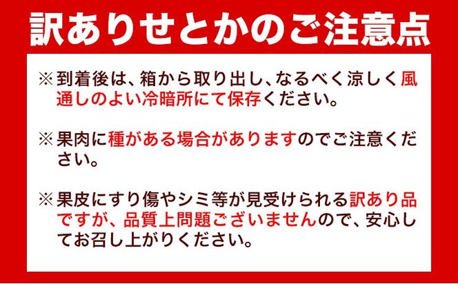 【先行予約】【家庭用 訳あり】とろける食感!ジューシー柑橘 せとか 約3kg 約5kg 株式会社魚鶴 《2026年2月上旬-3月中旬頃出荷》 和歌山県 日高川町 みかん 柑橘 果物 フルーツ 送料無料---wshg_uot106_2j3c_25_11000_3kg---