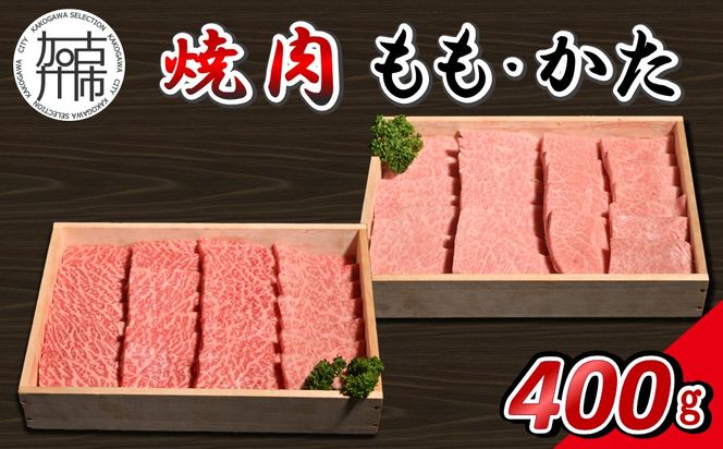 【14営業日以内に発送】神戸牛焼肉(もも・かた) 各200g×1《 肉 牛肉 神戸牛 ももかた 網焼き 焼肉 400g 冷凍 》【2501A16907】