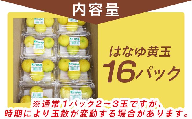 【2026年11月以降順次配送】虎弥太郎 はなゆ黄玉 16パック -  国産 ゆず 柚子 ユズ 花柚子 柑橘 香酸柑橘 果物 花皮果汁 フルーツ 果実 料理 酒 ハイボール 焼酎 アレンジ 焼き魚 小分け hy-0004
