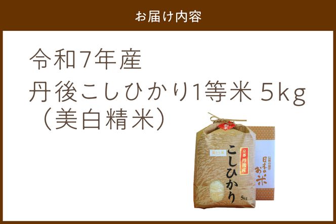 令和7年産 美白精米 丹後こしひかり 5kg 1等米　MU00057