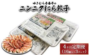 【4ヶ月定期便】ゆきむら壱番亭のニンニクにら餃子3パック(48個入り) ※離島への配送不可