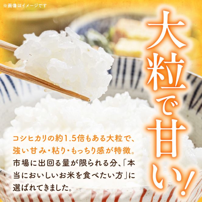【R8年産新米 先行受付】特別栽培米「いのちの壱」（15kg）＜農家直送＞ ［208K03］ 希少米 15kg 米 新米 精米 白米 ご飯 国産 産地直送 甘い 粘り強い もちもち お取り寄せ こだわり米 愛知県 小牧市 送料無料