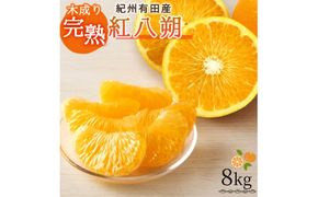 【先行予約】紀州 有田産 木成り 完熟 紅 八朔 8kg / 柑橘 果物 和歌山 有田 みかん フルーツ ※2027年2月下旬〜3月中旬頃に順次発送予定（お届け日指定不可） ※離島への配送不可 【uot795】