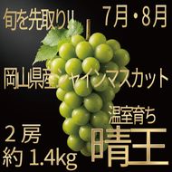 [HS]ぶどう先行予約7月・8月発送温室シャインマスカット晴王2房(合計約1.4kg) ブドウ 葡萄  岡山県産 国産 フルーツ 果物 ギフト デザート 食後 酸味が少ない 産地直送