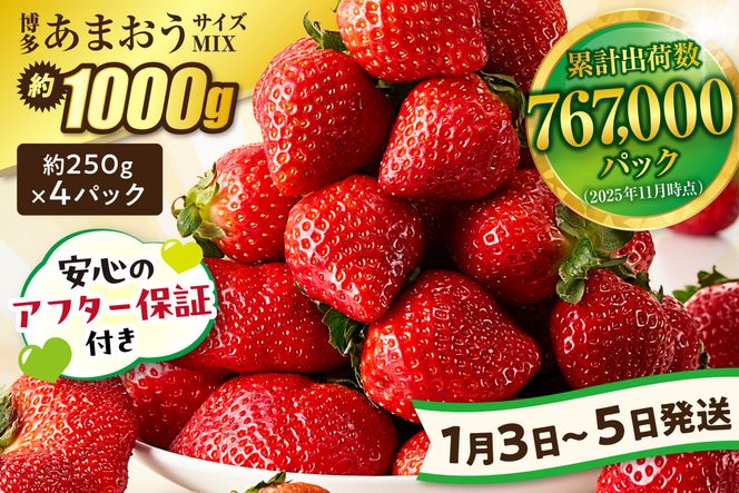 【先行予約】【数量限定】<アフター保証>1月3日～5日発送「博多あまおう」約250g×4パック【ほたるの里】_HA0662