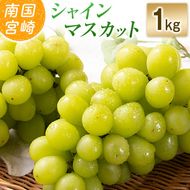【令和8年発送 先行予約】小林市産 シャインマスカット 1kg（ブドウ ぶどう シャインマスカット マスカット フルーツ 果物 先行受付 限定）