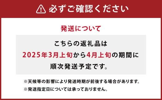 【先行受付】特別栽培不知火 3kg サイズミックス 不知火 しらぬい  柑橘 果物 みかん フルーツ デザート【2025年3月上旬から4月上旬発送予定】