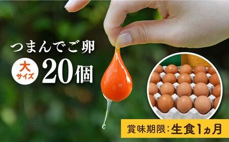 [プリップリな 卵黄 !] つまんでご卵 20個 セット 卵 たまご 糸島 / 緑の農園 [AGA008] たまご 卵 鶏卵 玉子 平飼い たまごかけご飯 卵かけご飯 卵焼き 平飼い卵