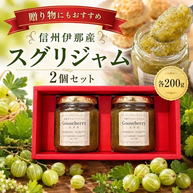 信州伊那産 スグリ ジャム 200g 2個 セット | フルーツ ジャム スグリ 完熟 つみたて 加工品 長野県 伊那市【010-e8】