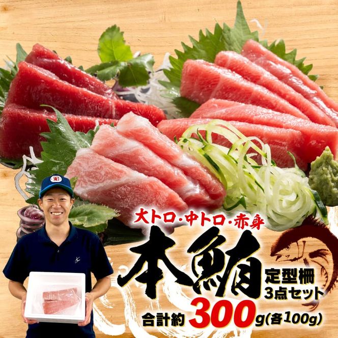 本まぐろ 大とろ 中とろ 赤身 詰合せ 約300g 本鮪 [ PT0014-000013]