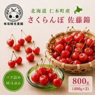 2027年発送 北海道 仁木町産 さくらんぼ 「佐藤錦」 バラ詰め M-L混合 800g (400g×2パック) 国産 旬のフルーツ 旬の果物 デザートサクランボ チェリー フルーツ 果物 果物類 仁木町 仁木 [フルーツショップ妹尾観光農園]