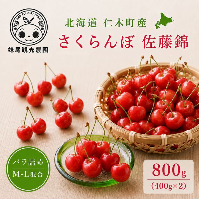 2027年発送 北海道 仁木町産 さくらんぼ 「佐藤錦」 バラ詰め M-L混合 800g (400g×2パック) 国産 旬のフルーツ 旬の果物 デザートサクランボ チェリー フルーツ 果物 果物類 仁木町 仁木 [フルーツショップ妹尾観光農園]