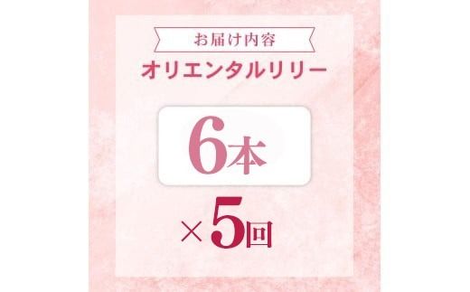 定期便5回 ユリ オリエンタルリリー 6本 花 切り花 プレゼント 贈り物 ギフト 誕生日 記念日 つぼみ 大輪 ピンク 白 香り 優雅 華麗 ブーケ フラワーアレンジメント 観賞用 インテリア 季節の花 高級感 花束 生花 福田園芸 オリエンタルハイブリッド 安芸市 高知県