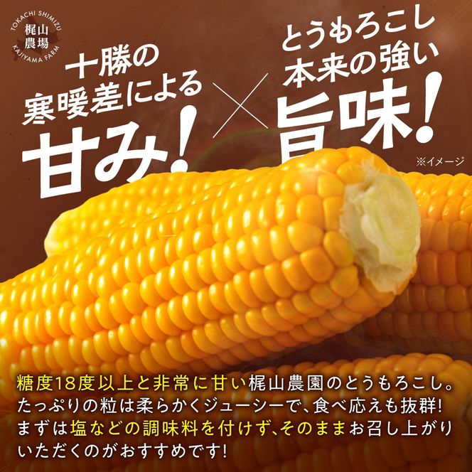 先行受付！【2026年8月頃～発送開始！】北海道十勝清水町産 恵味 L～LL 20～22本 朝採れ 甘くてジューシー とうもろこし 粒皮やわらか _S041-0013					