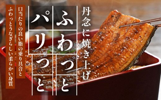 宮崎県育ちの【特大】うなぎ蒲焼1尾210g以上≪山椒・たれ付≫_11-M301