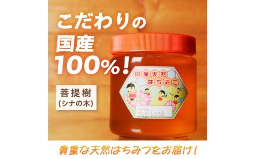 【北海道滝川産】高見養蜂場の純粋はちみつ(菩提樹、シナの木600g×1本)｜国産 日本製 天然 無添加 純粋 非加熱 生はちみつ ミツバチ ハニー 栄養 健康 美容 ビタミン ミネラル 抗生物質 プロポリス アミノ酸 濃厚 ギフト 贈答