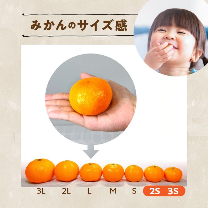 MK1000_【2026年先行予約】みかん とにかく 小玉 箱込 2.5kg ( 内容量 2.3kg ) 2Sサイズ以下 秀品 優品 混合 有田みかん 和歌山県産 産地直送 【みかんの会】