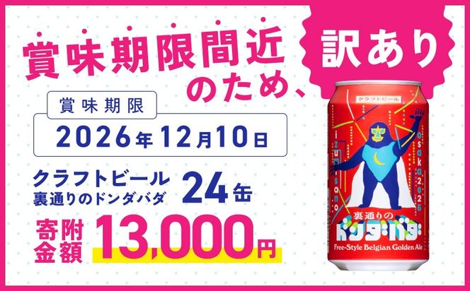 G3887-2 【訳あり】裏通りのドンダバダ 24本【クラフトビール お酒 beer びーる 宅飲み 家飲み 高評価 ふるさと納税限定 泉佐野オリジナル スピード発送】
