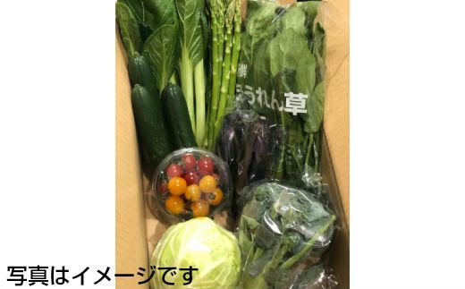 【定期便12ヶ月】イーハトーヴ野菜C もりもりセット 11品～ 詰め合わせ 【1210】