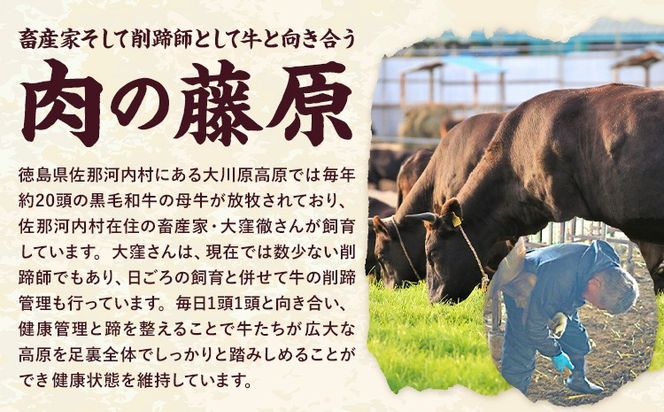 大川原高原牛 特選ロース 焼肉 500g 冷凍便 肉の藤原《90日以内に出荷予定(土日祝除く)》和牛 希少 大川原高原 牛肉 焼肉 ロース 贅沢 バーベキュー BBQ キャンプ ギフト 贈答 徳島県 佐那河内村---sanagouchi_nfw_15_500g---