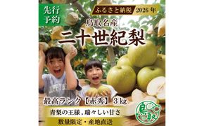 【2026年8月下旬より発送】三ツ田農園 二十世紀梨 (赤秀)ギフト用3kg 313726_CY009
