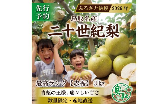 【2026年8月下旬より発送】三ツ田農園 二十世紀梨 (赤秀)ギフト用3kg 313726_CY009