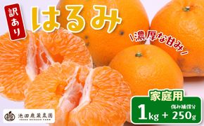 ［先行予約］家庭用 はるみ1kg+250g（傷み補償分）［デコポンの姉妹品種・新食感春みかん］［わけあり・訳あり］ CZ145