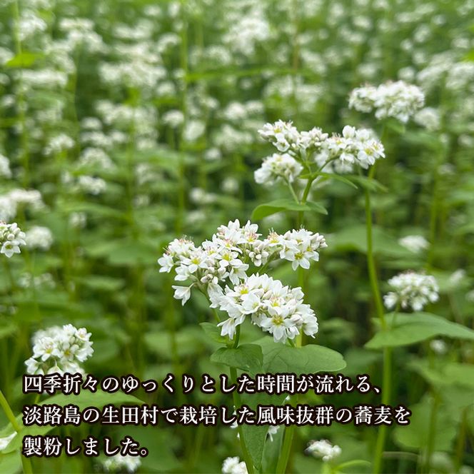淡路島のそば粉 1.5kg（500g×3袋）