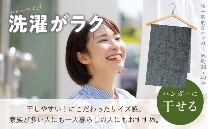 099H3813 コンパクトバスタオル 6枚 シックグレー【速乾 中厚 ロングヘアにも最適 泉州タオル 国内製造 国産 吸水 普段使い シンプル 日用品 家族 ファミリー】