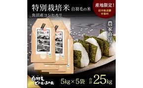 【通年受付】≪令和8年産≫ 農家直送！魚沼産コシヒカリ特別栽培「白羽毛の米」精米 (5kg×5袋) 25kg お米 白米