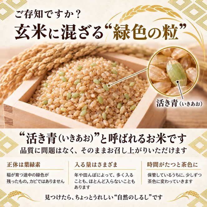 にじのきらめき 虹のきらめき 玄米 30kg 30キロ 令和8年 香川県産 国産 米 お米 国産米 香川県産米 大粒 もっちり 粘り おにぎり ご飯 ごはん はなまる農園 甘み 香川 香川県 東かがわ市 46312688