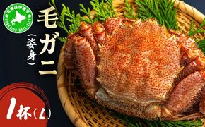 毛ガニ（姿身）Lサイズ 1尾 ogm-017