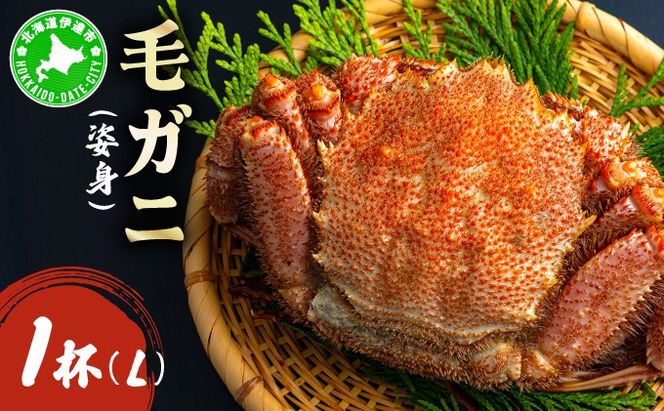 ykCɒBszуKjipgjLTCY 1 ogm-017