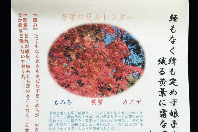 万葉の花カレンダー（細川紙） 新年度 令和8年版 [NPO法人紫草と万葉の会 埼玉県 小川町 045] カレンダー 令和 手漉き和紙 伝統 数量限定