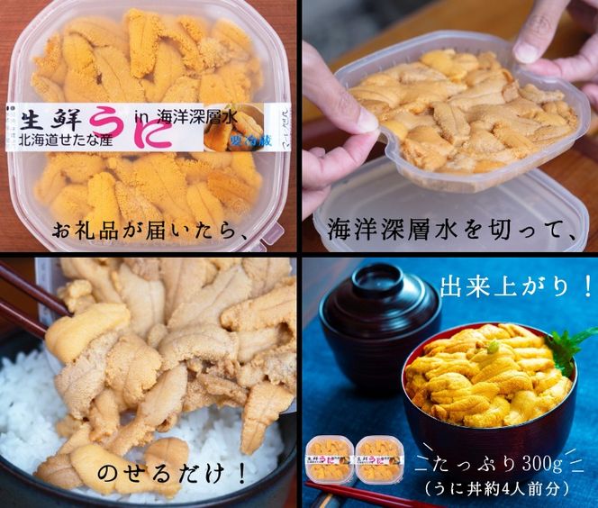 【2025年6月中旬から順次発送】【北海道せたな町産】生鮮生うに(150g×2パック)