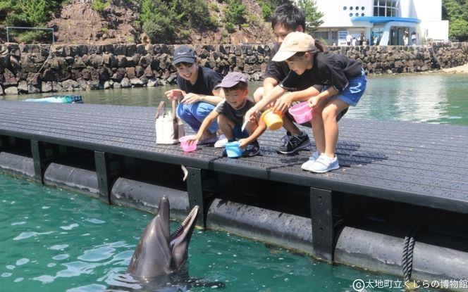 太地町立くじら博物館　入館チケット大人2名+子供1名/チケット 入館券 博物館 くじら 鯨【kzr003】