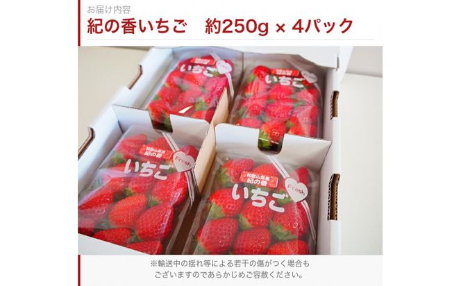 紀州和歌山ブランドいちご「紀の香」約250g×4P ［UT143］ 303446_XF91191