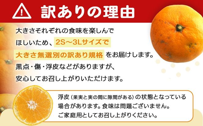 手が止まらない 訳あり 有田みかん 約5kg 大きさ無選別（2S〜3L） 糖度11度以上 鳴川農園 ［2026年11月以降発送予定］ FD02