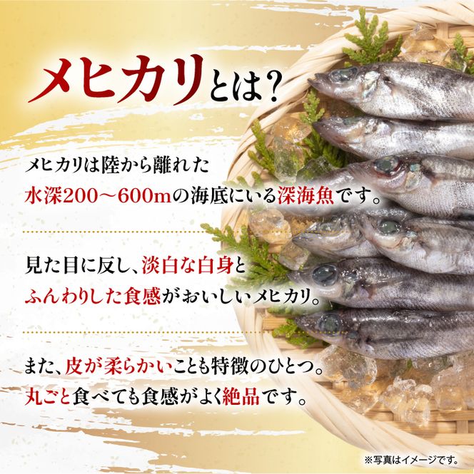 丸干し３Lめひかり(12本)【めひかり メヒカリ 3L 魚 海産物 茨城県 北茨城市 冷凍】（DM002）