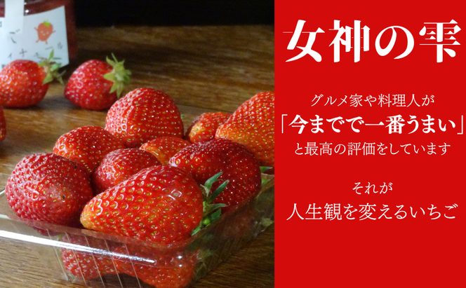 【訳あり】「今までで1番うまい」とグルメ家がうなったイチゴ【女神の雫】 2026年1月 2月 3月 4月 450g 岐阜県 美濃市 じゅん農産 訳アリ 苺