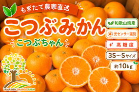 ちっちゃな 有田みかん こつぶみかん10kg （3S～2Sサイズ混合）| 小粒 光センサー選別 温州みかん みかん 柑橘 果物 くだもの フルーツ