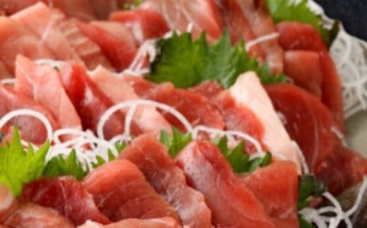 【 6回定期便 】 天然本マグロ 中トロ 赤身 切り落とし 400g 小分け(100g×4パック) 訳あり マグロ 刺身 カルパッチョ まぐろ丼 まぐろ漬け丼 魚 惣菜 海鮮丼 魚介類 食べきりサイズ 父の日 冷凍 不揃い クロマグロ 黒マグロ