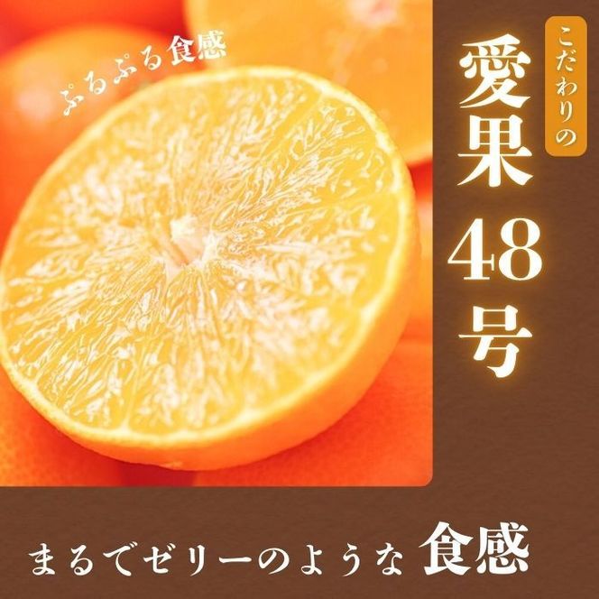 【先行予約：2027年3月上旬～発送】 訳あり プリンセス 愛果48号 3kg  みかん 小玉 愛媛県 の 新品種 高級 人気 ブランド 柑橘 果物 フルーツ サイズミックス 甘い おいしい お取り寄せ 産地直送 農家直送 国産 特産品 中山農園 愛媛県 愛南町