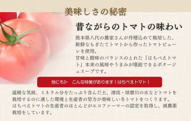 トマトポタージュ 10食セット《熊本県 はちべえトマト 使用》｜スープ ポタージュ レトルト 野菜スープ 無添加 無着色 砂糖不使用 常温保存 ヘルシー 低カロリー スープ 国産 野菜 ローリングストック レトルト食品 お取り寄せ 非常食 保存食 [2517]